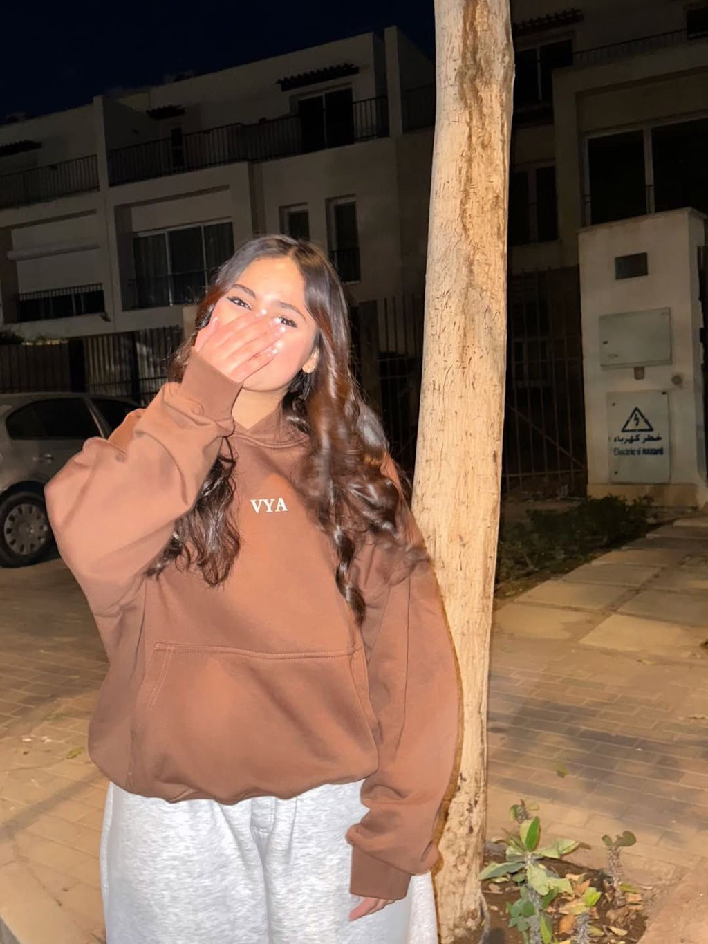 Dark Brown Box Fit Hoodie